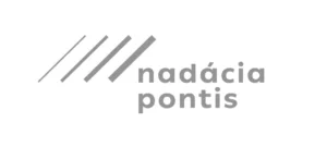 Logo so štyrmi diagonálnymi čiarami s narastajúcou hrúbkou vedľa slov nadácia pontis napísaných malými sivými písmenami na bielom pozadí.